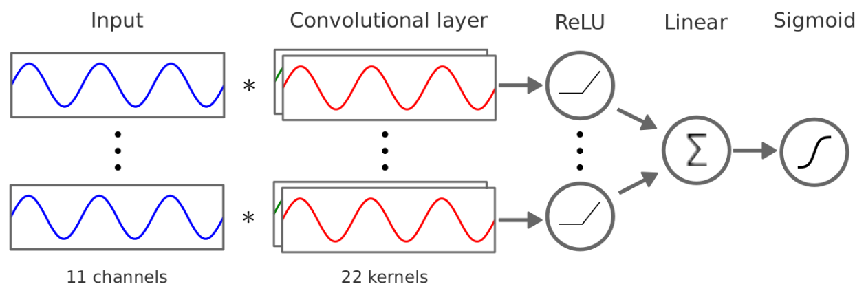 The architecture of the AI model used for classification.