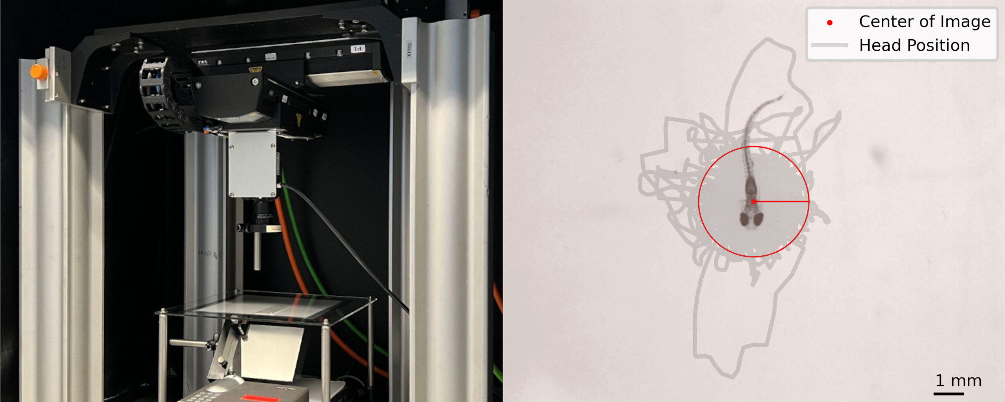 Picture of the setup and the fish with the tracking error.